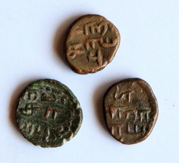 arcot nawab tamil coins